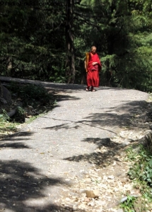 Mcleodganj Dharmsala Travel