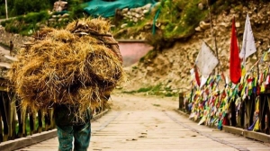 Lahaul Spiti Volunteer Activities