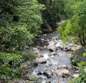Travel And Trekking in Uttrakhand